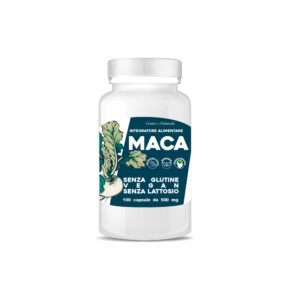 MACA