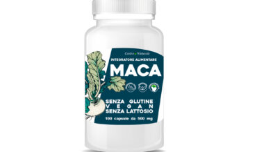 MACA