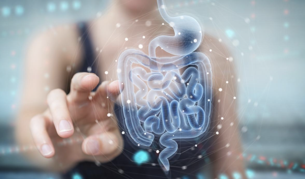 MICROBIOTA INTESTINALE