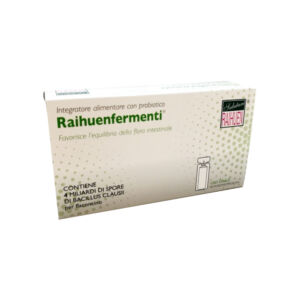 RAIHUENFERMENTI1