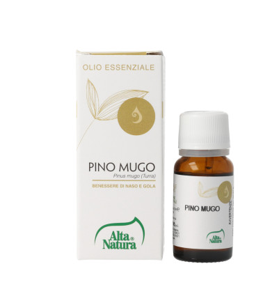 PINO MUGO