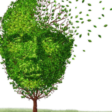 nutri la memoria e la concentrazione