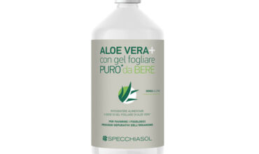 aloe vera
