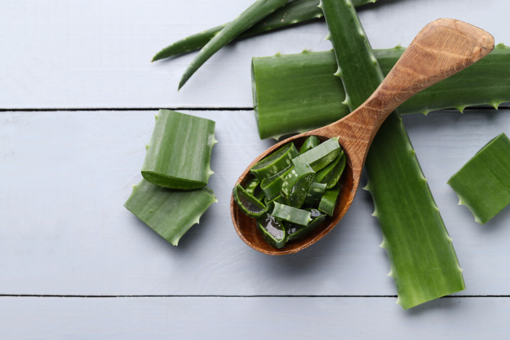 Aloe vera