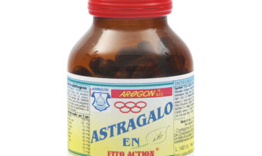 astragalo en