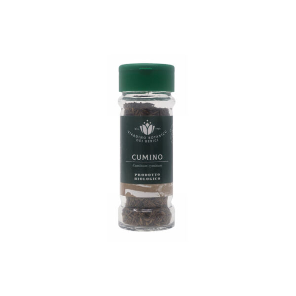 cumino