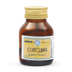 curcuma longa