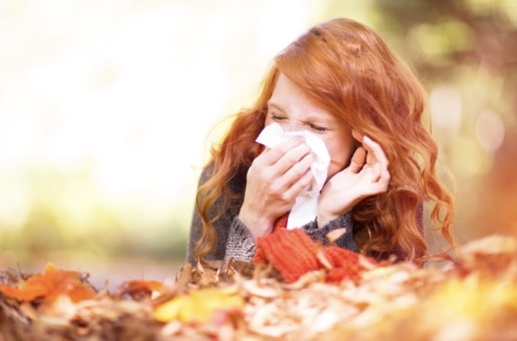 difese autunno