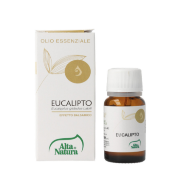 eucalipto