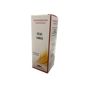 ficus-analcolico