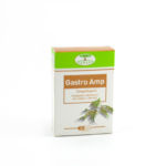 gastro amp