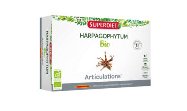 harpagophytum