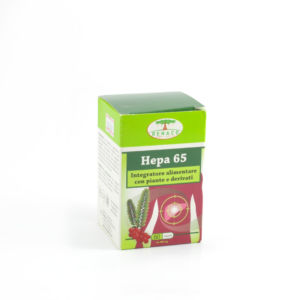 hepa 65