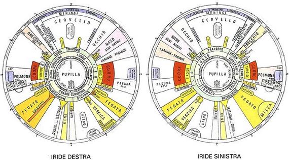 iridologia