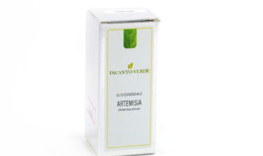 artemisia