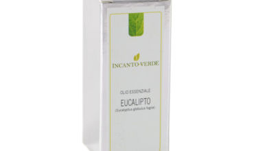 eucalipto