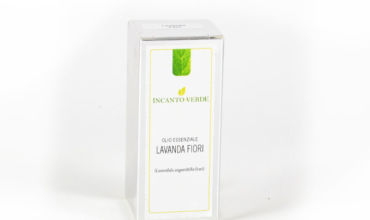 lavanda fiori