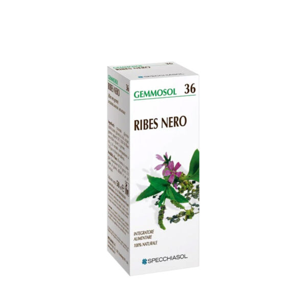 ribes-nero-specchiasol