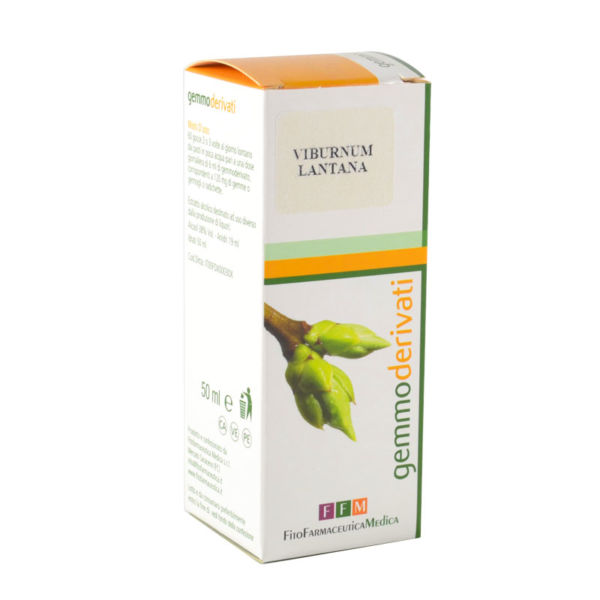 viburnum lantana gemmoderivati fito farmaceutica medica biburnum lantana gemmoderivati