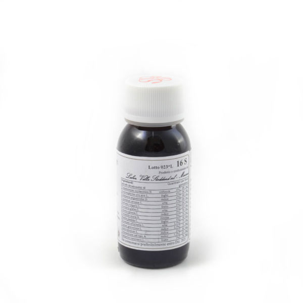 cinnamomum LVS16S